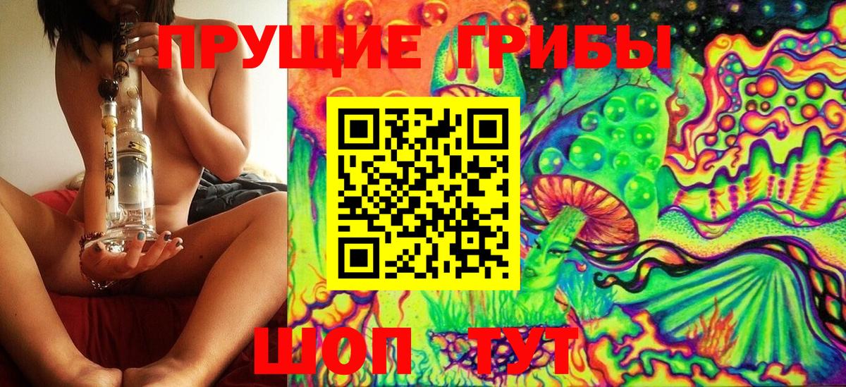 Томск  Галлюциногенные грибы мухоморы  Вход с VPN 
